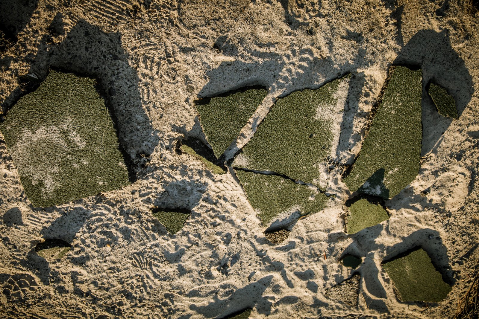 art-of-sandy-mo-long beach-25.jpg